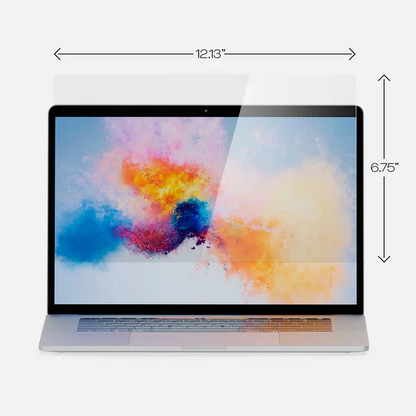 Privacy Screen Filter 15.6" Pack of 2